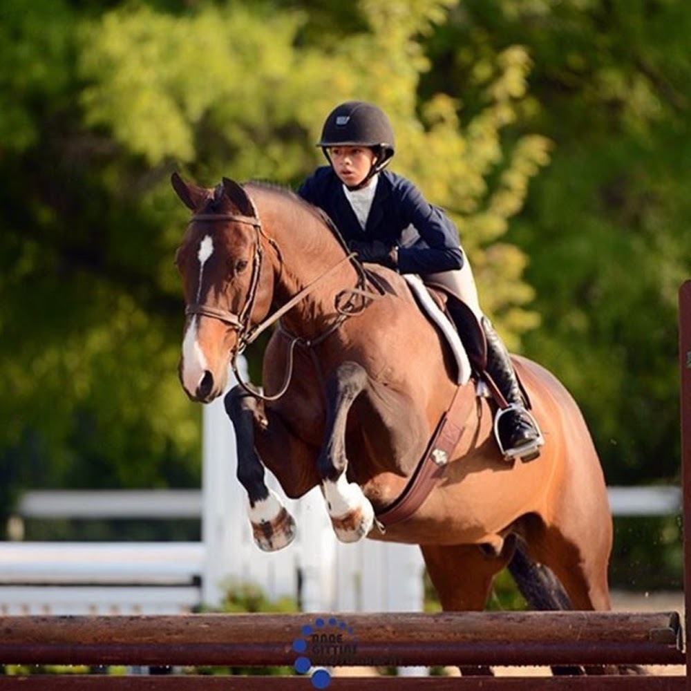 Meet your Posher, Row